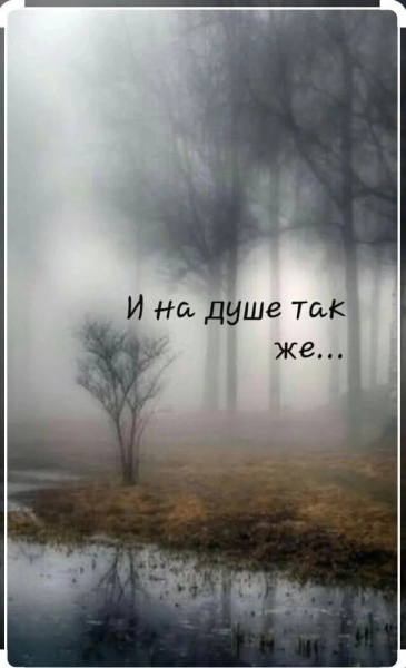 Сексуальная травма и трансформация: Путь к исцелению и самоосознанию