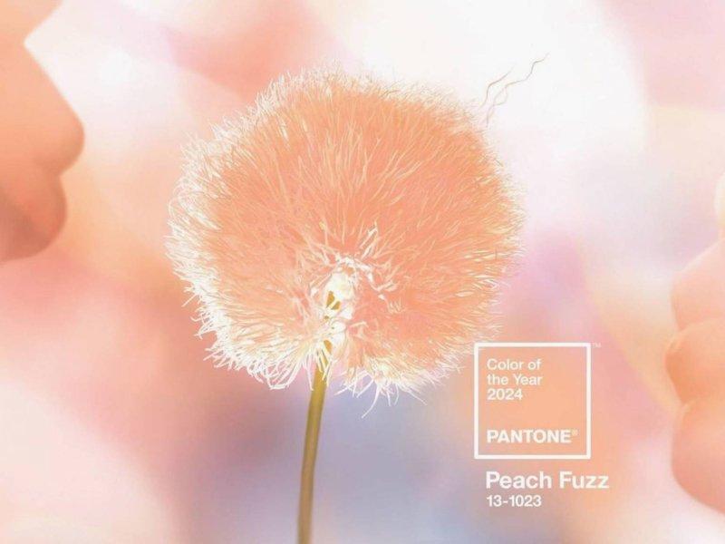 Главные цвета года по версии института Pantone